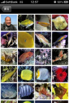 fishwatch3