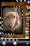 PetSnap-screenshot_4