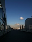 yokohama_orgn
