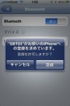 sbt03_pairing