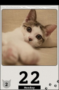 sh1