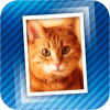 MPV_icon100x100