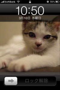 写真 5