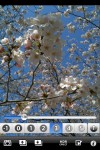 sakura_setting1 sakura_setting1