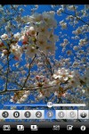 sakura_setting2 sakura_setting2