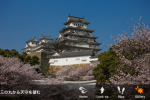 04_ss_gallery_ja 04_ss_gallery_ja