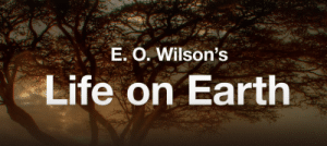 Thumbnail of post image 031