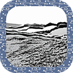 Thumbnail of post image 107