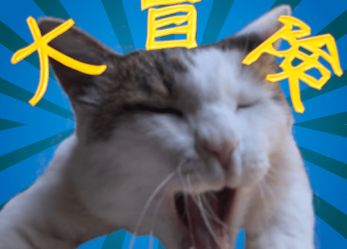 Thumbnail of post image 049