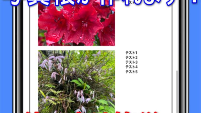 Thumbnail of post image 141